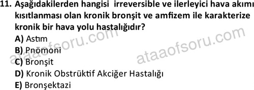 ata saglikyönetimilisans 2263 11