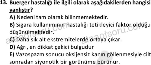 ata saglikyönetimilisans 2263 13