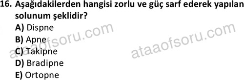 ata saglikyönetimilisans 2263 16