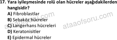 ata saglikyönetimilisans 2263 17