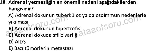 ata saglikyönetimilisans 2263 18