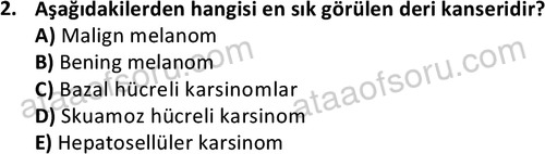 ata saglikyönetimilisans 2263 2