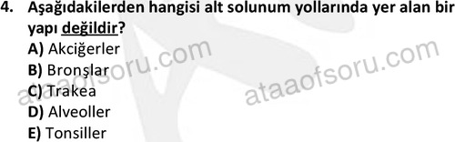 ata saglikyönetimilisans 2263 4