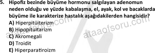 ata saglikyönetimilisans 2263 5