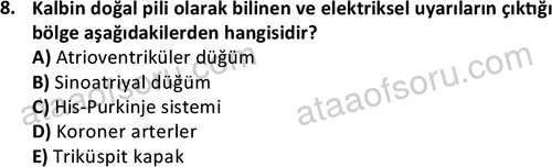 ata saglikyönetimilisans 2263 8