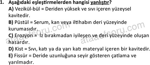 ata saglikyönetimilisans 2263 1