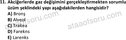 ata saglikyönetimilisans 2263 11