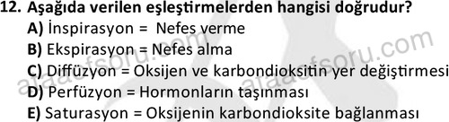 ata saglikyönetimilisans 2263 12