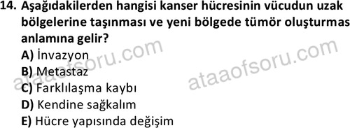 ata saglikyönetimilisans 2263 14