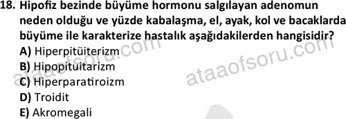 ata saglikyönetimilisans 2263 18