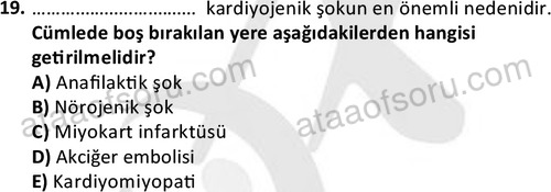 ata saglikyönetimilisans 2263 19