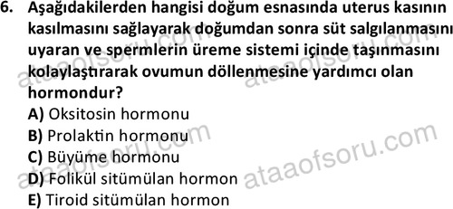 ata saglikyönetimilisans 2263 6