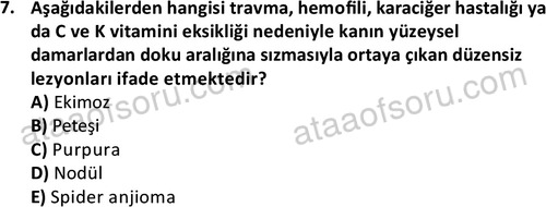 ata saglikyönetimilisans 2263 7