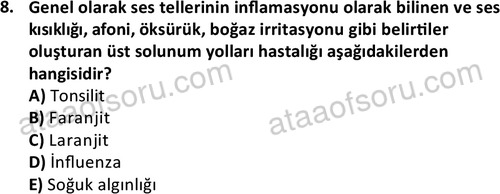 ata saglikyönetimilisans 2263 8