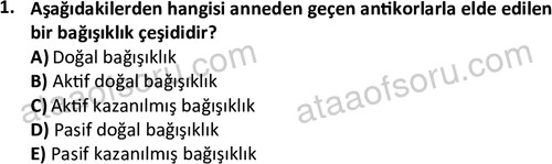 ata saglikyönetimilisans 2274 1