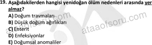 ata saglikyönetimilisans 2274 19