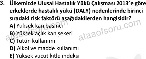 ata saglikyönetimilisans 2274 3