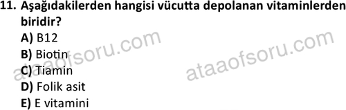 ata saglikyönetimilisans 2274 11