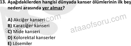 ata saglikyönetimilisans 2274 13