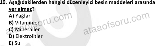 ata saglikyönetimilisans 2274 19