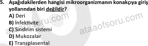 ata saglikyönetimilisans 2274 5