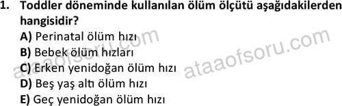 ata saglikyönetimilisans 2274 1