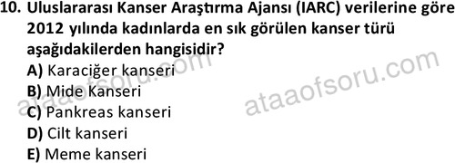 ata saglikyönetimilisans 2274 10