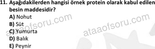 ata saglikyönetimilisans 2274 11