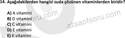 ata saglikyönetimilisans 2274 14