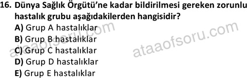 ata saglikyönetimilisans 2274 16