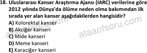 ata saglikyönetimilisans 2274 18