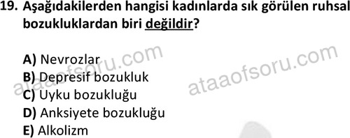 ata saglikyönetimilisans 2274 19