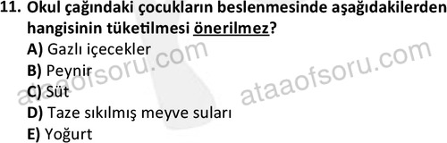 ata saglikyönetimilisans 2274 11