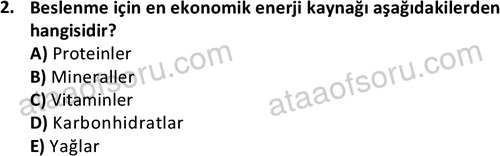 ata saglikyönetimilisans 2274 2