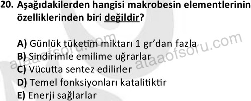 ata saglikyönetimilisans 2274 20