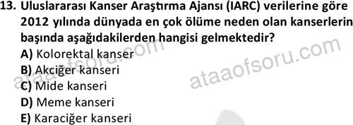 ata saglikyönetimilisans 2274 13