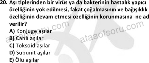 ata saglikyönetimilisans 2274 20