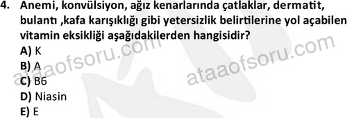 ata saglikyönetimilisans 2274 4
