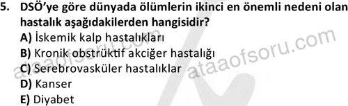 ata saglikyönetimilisans 2274 5