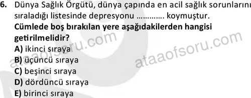 ata saglikyönetimilisans 2274 6