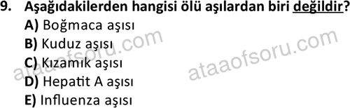 ata saglikyönetimilisans 2274 9