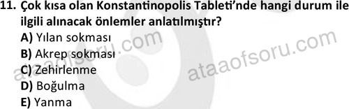 ata saglikyönetimilisans 2272 11