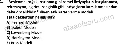 ata sosyalhizmlisans 2345 1