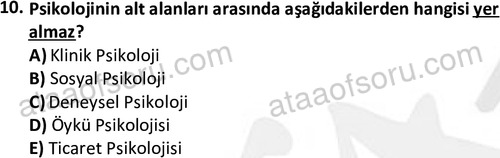 ata sosyalhizmlisans 2345 10