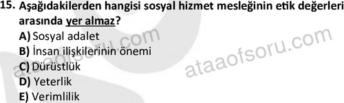ata sosyalhizmlisans 2345 15