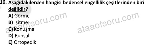 ata sosyalhizmlisans 2345 16