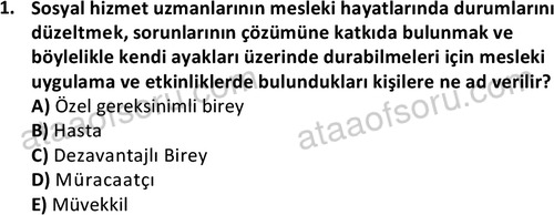 ata sosyalhizmlisans 2345 1