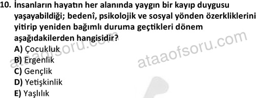 ata sosyalhizmlisans 2345 10