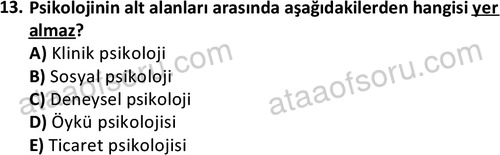 ata sosyalhizmlisans 2345 13