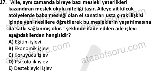 ata sosyalhizmlisans 2345 17